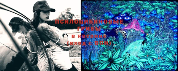 спиды Магадан